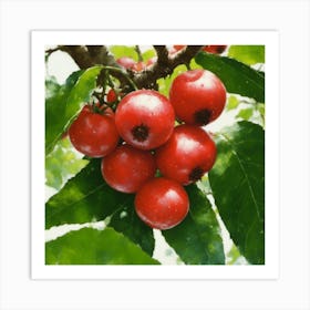 Red Berries On A Tree Art Print