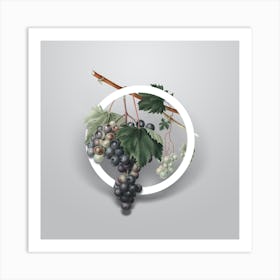 Vintage Grape from Ischia Minimalist Botanical Geometric Circle on Soft Gray Art Print