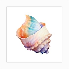 Sea Shell  Art Print