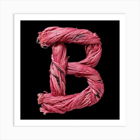 Letter B 12 Art Print