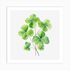 Four Leaf Clover 16 Art Print