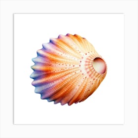 Sea Shell Isolated On White Background 3 Art Print