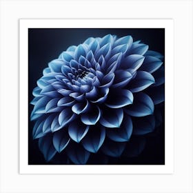 Dahlia Art Print