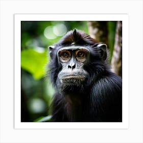 Black Endangered Nature Lowland Malaysia Mammal Buddhism Travel Beautiful Zoo Building Te Art Print