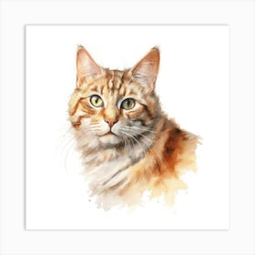 York Chocolate Cat Portrait 1 Art Print