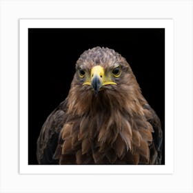 Eagle 1 Art Print