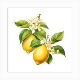 Lemons Art Print