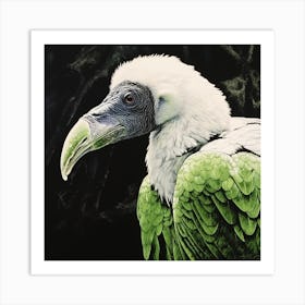 Ohara Koson Inspired Bird Painting Vulture 2 Square Art Print