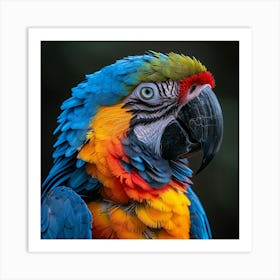 Colorful Parrot 32 Art Print