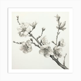 Ink Cherry Blossoms Branches 4 Art Print