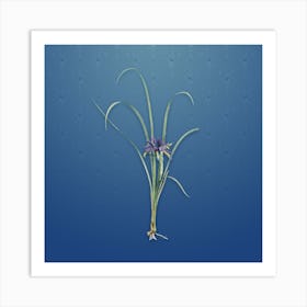 Vintage Grass Leaf Iris Botanical on Bahama Blue Pattern n.2276 Art Print