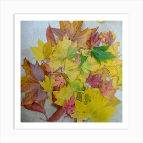 Living Room Wall Art,  Autumn Leaves  Art Print