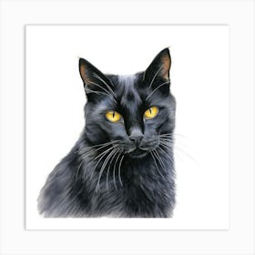 California Spangled Black Cat Portrait 2 Art Print