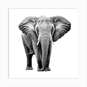 Elephant Line Art Art Print