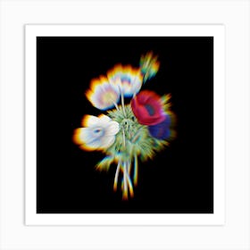 Prism Shift Anemone Simplex Botanical Illustration on Black n.0160 Art Print