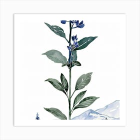 Blue Lily Art Print