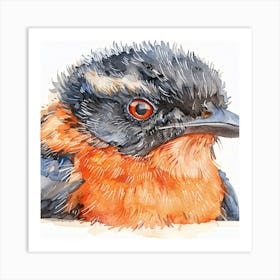 Robin Watercolor Painting Art Print