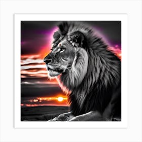 Lion At Sunset 9 Art Print