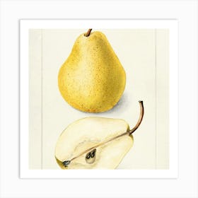 Two Pears Art Print