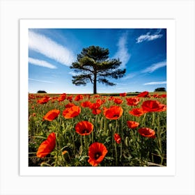 Poppy Field Art Print