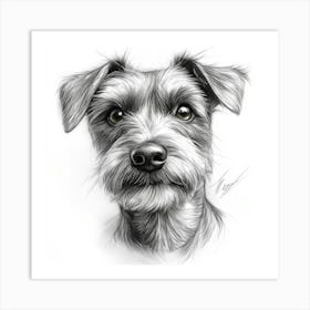 Irish Terrier Art Print