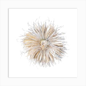 Chrysanthemum Sticker, Flower Illustration 1 Art Print