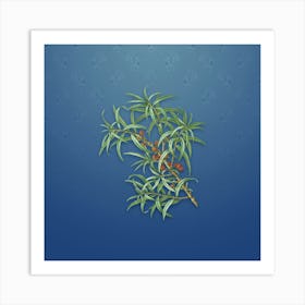 Vintage Common Sea Buckthorn Botanical on Bahama Blue Pattern n.2010 Art Print