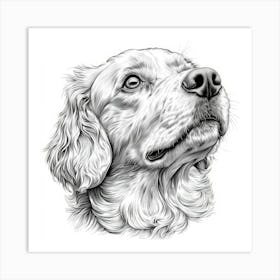 Cocker Spaniel 1 Art Print