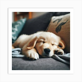 Golden Retriever Puppy Sleeping On Couch Art Print