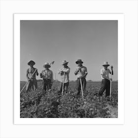 Twin Falls County, Idaho, Fsa (Farm Security Administration) Workers Camp, Japanese Farm Workers By Russell Lee Art Print