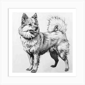  Finnish Spitz Dog Line Sketch 2 Art Print