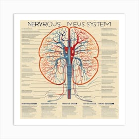 Nervous Nervous System Art Print