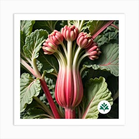 Rhubarb 135 Art Print