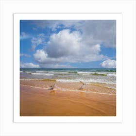 Seagulls On The Beach Art Print