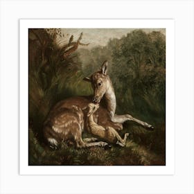 Deer And A Fawn Art Print