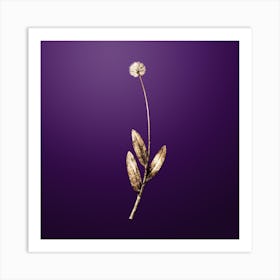 Gold Botanical Victory Onion on Royal Purple n.3276 Art Print