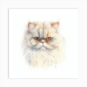 Colorpoint Persian Cat Portrait Art Print