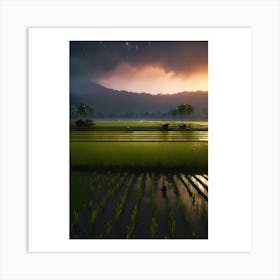 Sunset In The Rice Fields Art Print