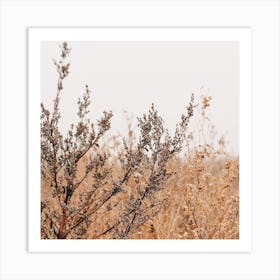 Farmhouse Wheat Field Square Art Print