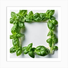 Frame Of Fresh Basil Leaves Art Print