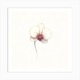 Orchid Flower Art Print