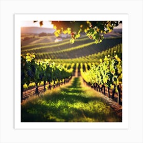 Vineyard Field At Sunset 1 Art Print