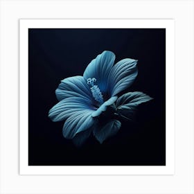 Hibiscus Flower Art Print