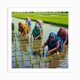 An Image Of Women Working In Rice Field, Planting The Rice Saplings, Pakistan. 2 Poster