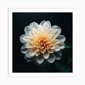 Dahlia Flower Art Print