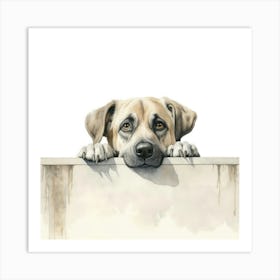 Dog Peeking Over Wall Art Print