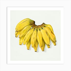 Bananas 5 Art Print