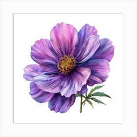 Purple Cosmos Flower Art Print