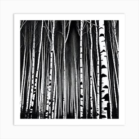 Birch Forest 44 Art Print