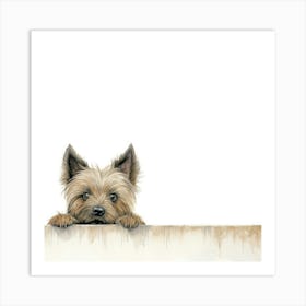 Yorkshire Terrier 11 Art Print